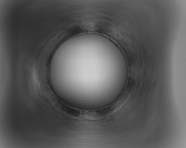 X0000089851201200706281245