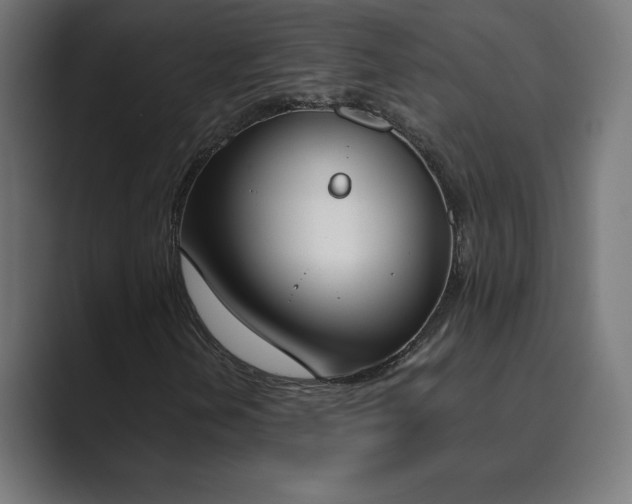 X0000089851202200706281245