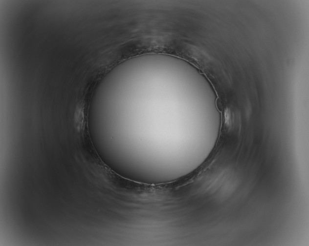 X0000089851203200706281245