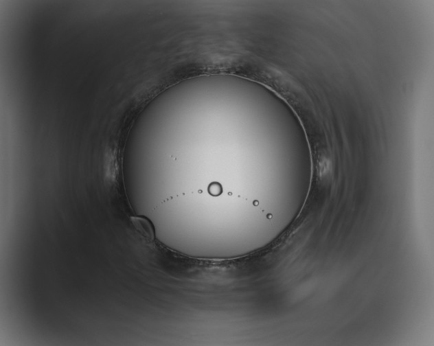 X0000089851204200706281245