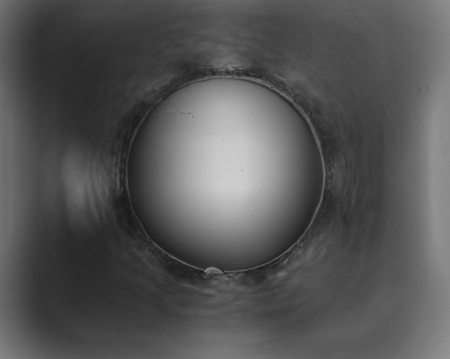 X0000089851205200706281245