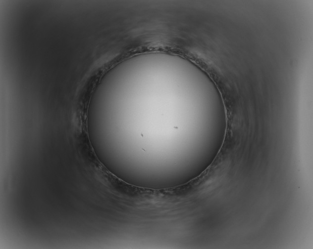 X0000089851207200706281245