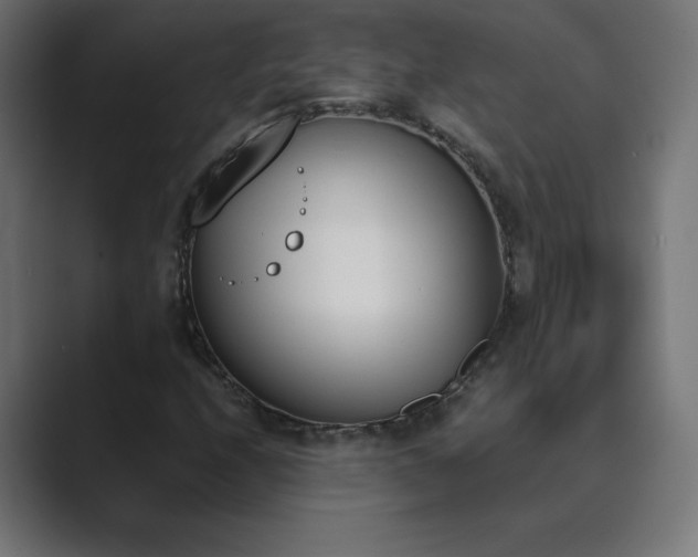 X0000089851208200706281245