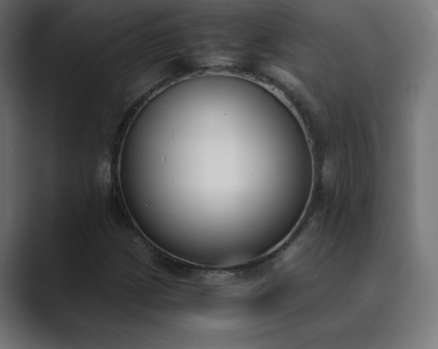 X0000089851209200706281245