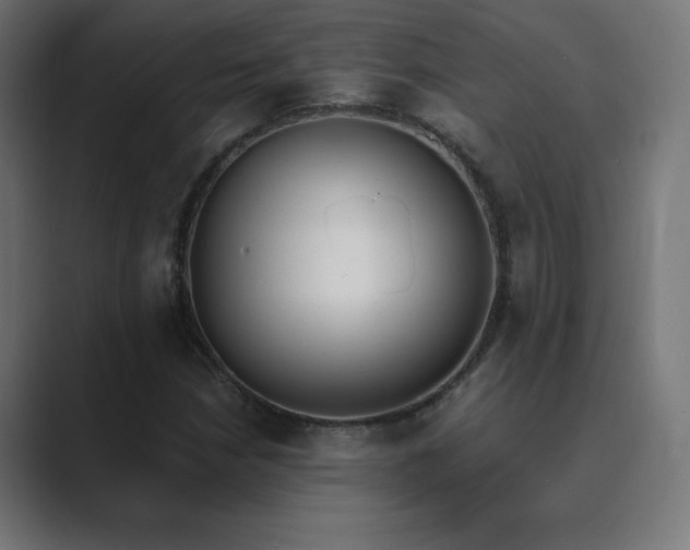 X0000089851210200706281245