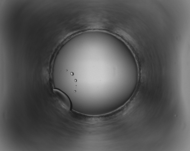 X0000089851212200706281245