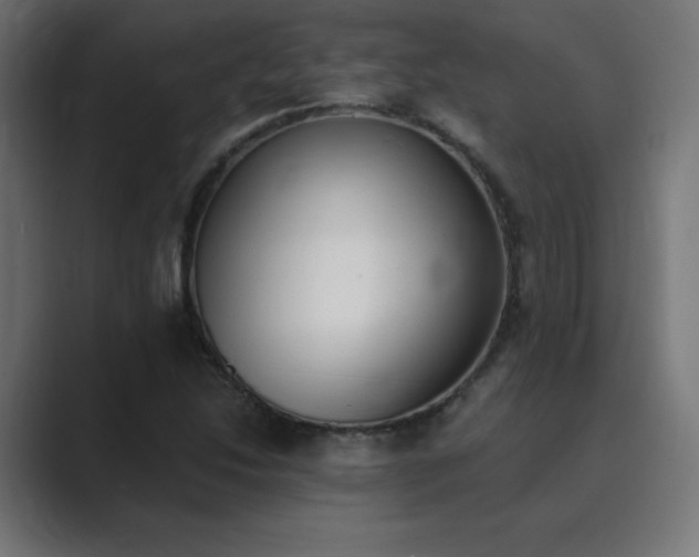 X0000089851214200706281245