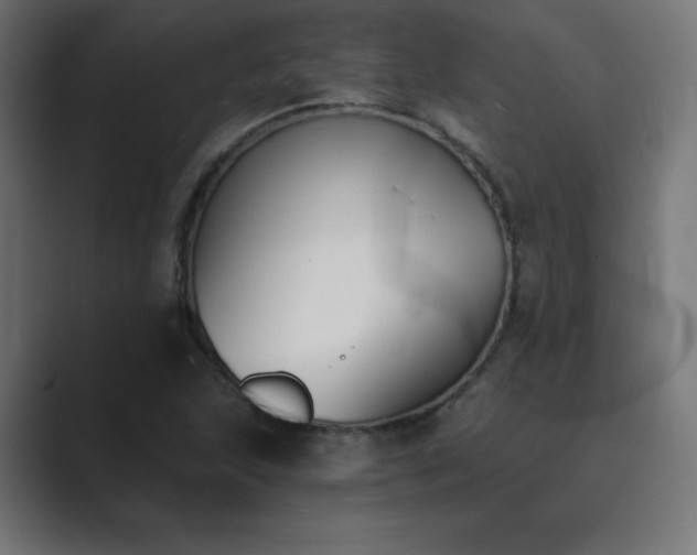 X0000089851215200706281245