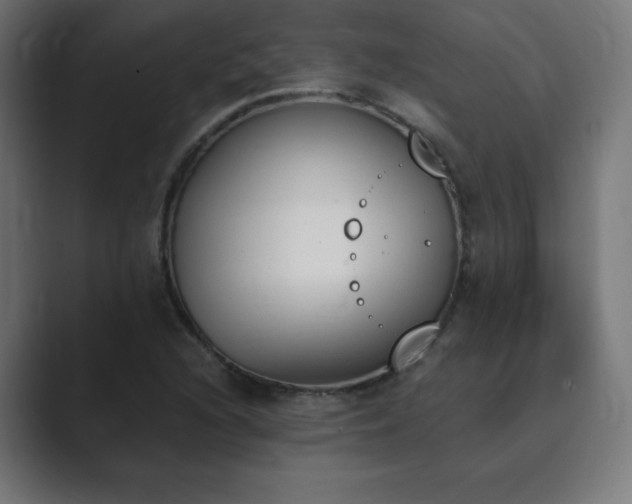 X0000089851216200706281245