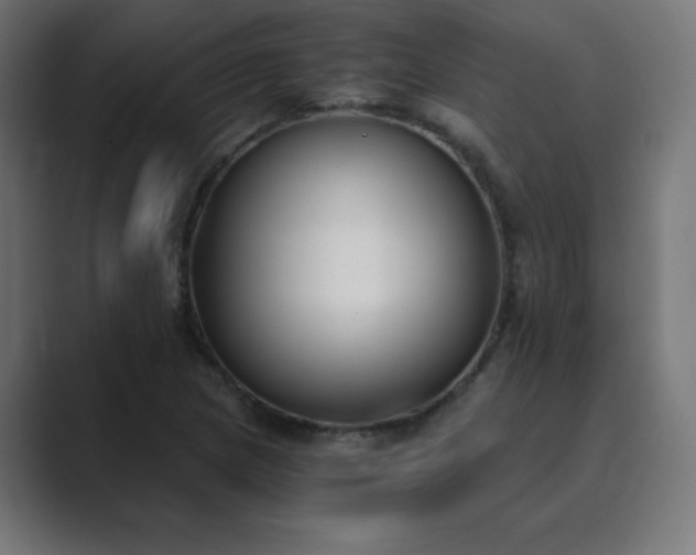 X0000089851217200706281245