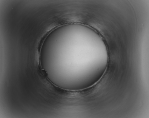 X0000089851219200706281245