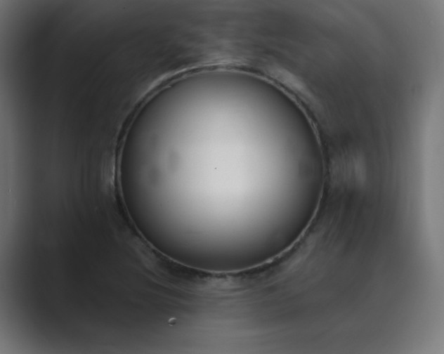 X0000089851220200706281245