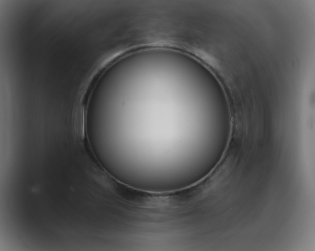 X0000089851223200706281245