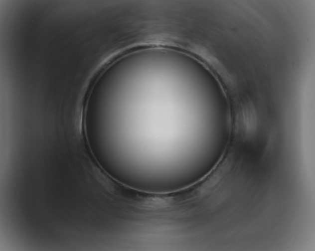 X0000089851224200706281245