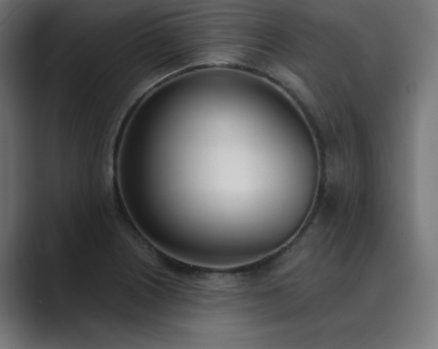 X0000089851226200706281245