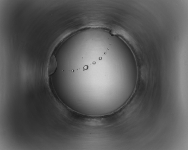 X0000089851229200706281245