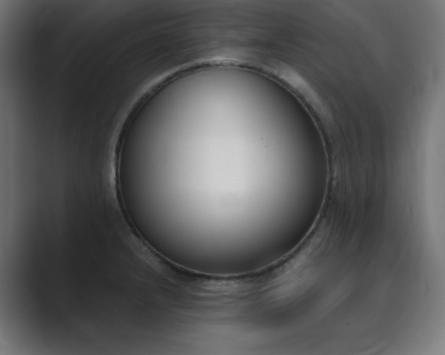 X0000089851232200706281245