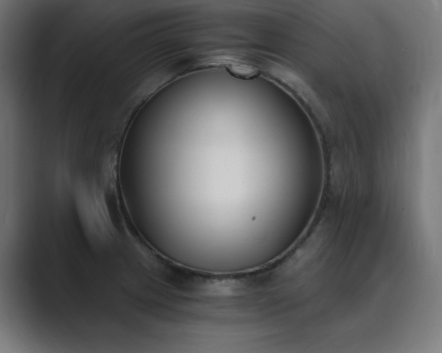 X0000089851233200706281245