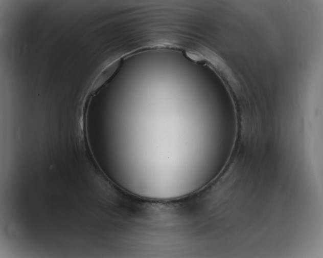 X0000089851234200706281245