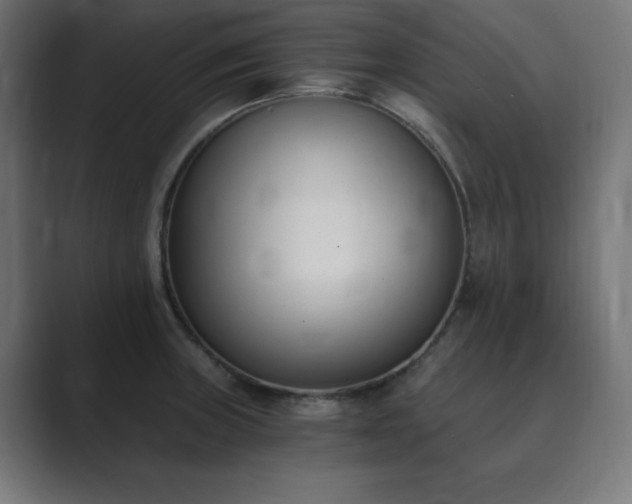 X0000089851235200706281245