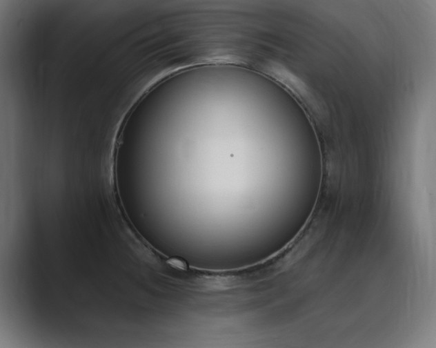X0000089851236200706281245