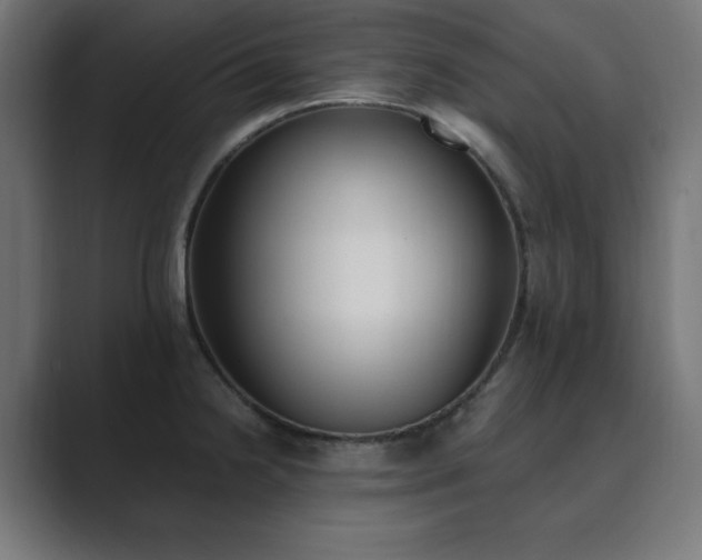 X0000089851238200706281245