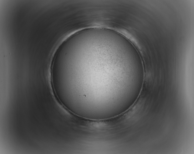 X0000089851239200706281245