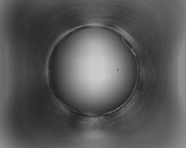 X0000089851240200706281245