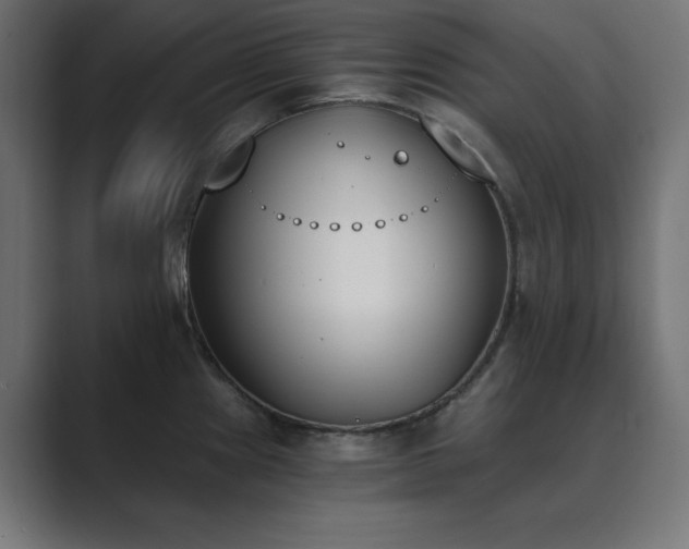 X0000089851241200706281245
