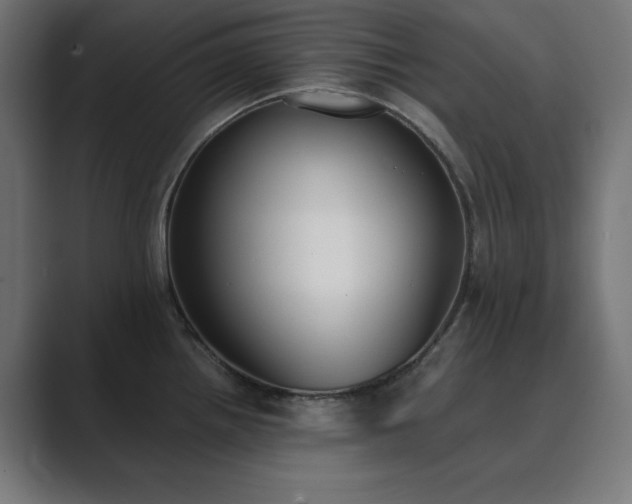 X0000089851242200706281245