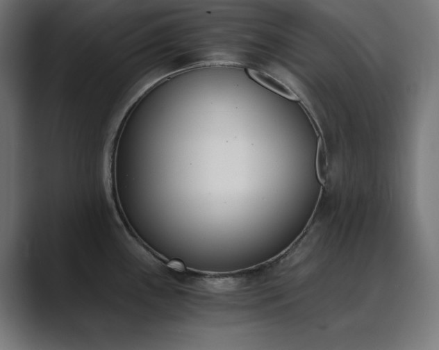 X0000089851243200706281245