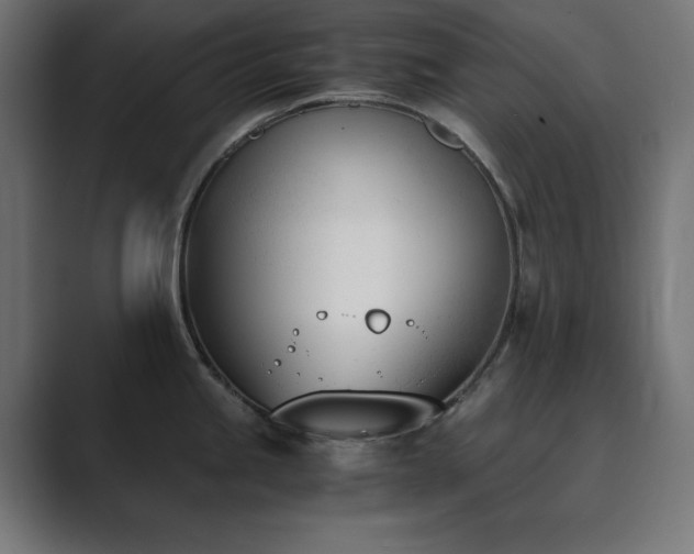 X0000089851245200706281245