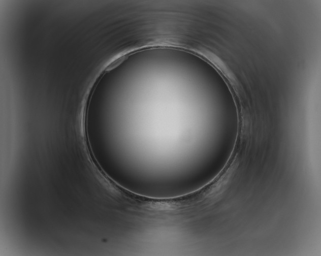 X0000089851246200706281245