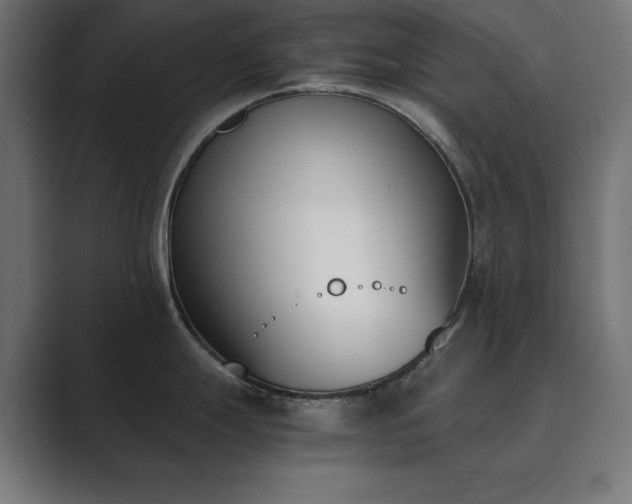 X0000089851247200706281245