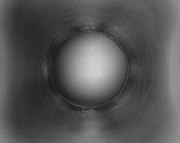 X0000089851250200706281245