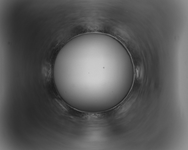 X0000089851251200706281245