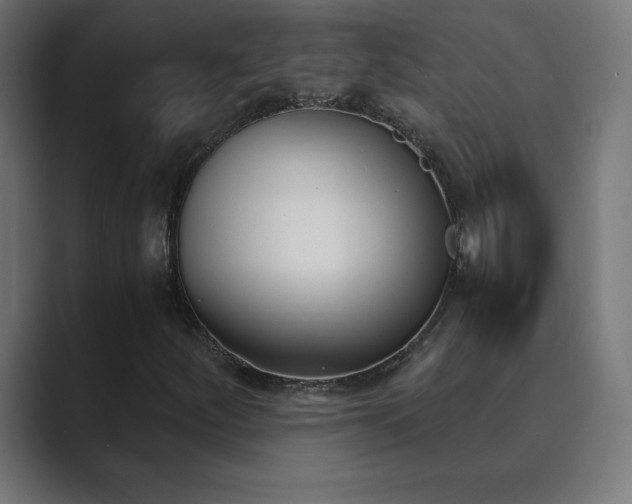 X0000089851252200706281245