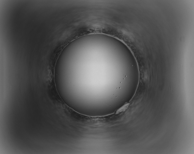 X0000089851253200706281245