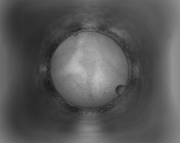 X0000089851254200706281245