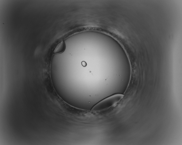 X0000089851255200706281245