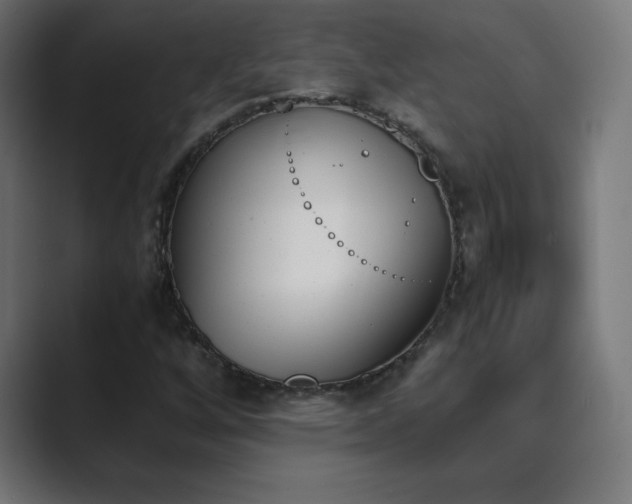 X0000089851256200706281245