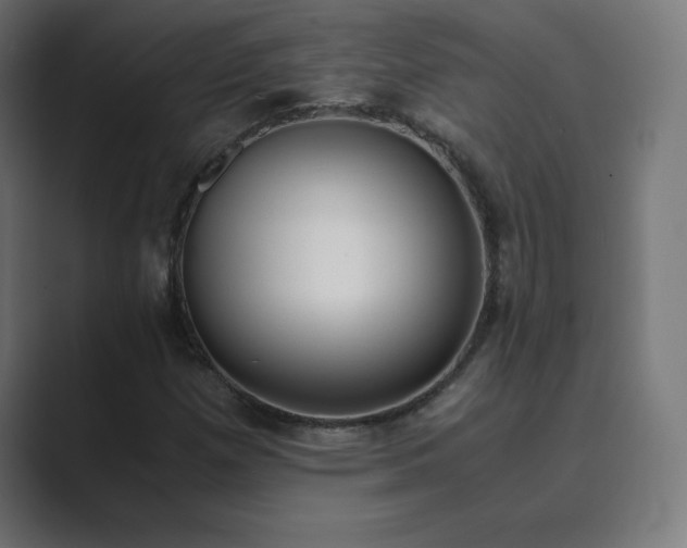 X0000089851257200706281245