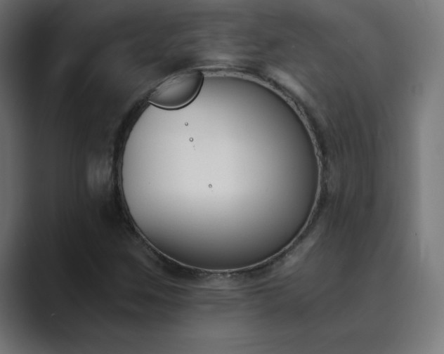 X0000089851259200706281245