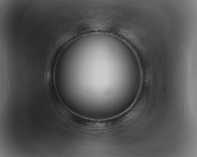 X0000089851261200706281245