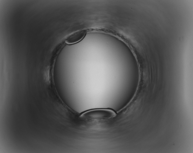 X0000089851262200706281245