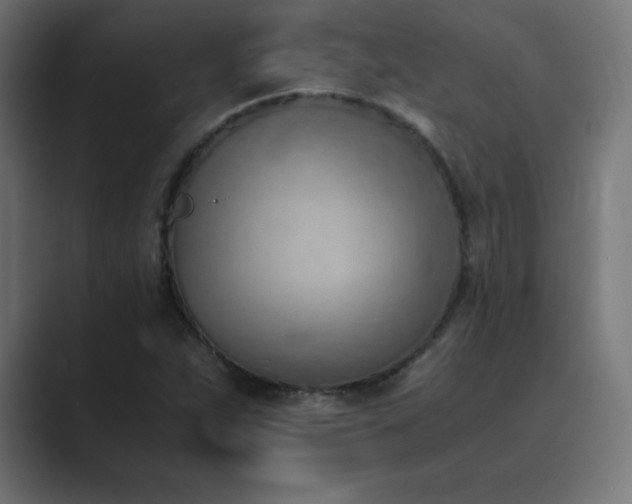 X0000089851263200706281245
