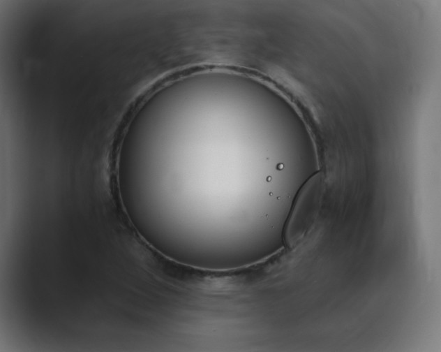 X0000089851264200706281245