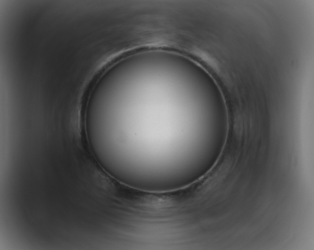 X0000089851270200706281245