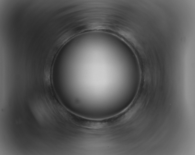 X0000089851273200706281245