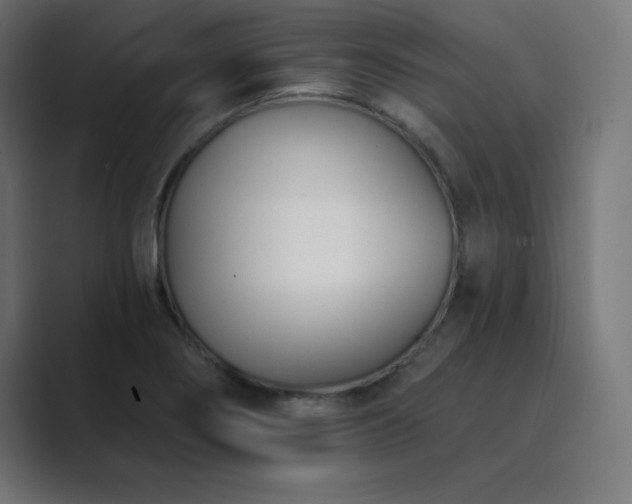 X0000089851274200706281245